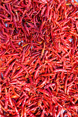 The fruits of red pepper are dried.
