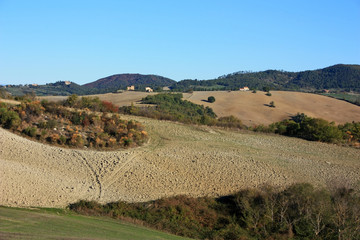 Fototapeta na wymiar Cultivated fields in Tuscany, Italy