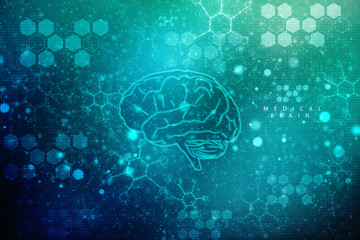 Human brain 2d illustration