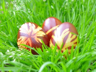  Painted Colorful Easter Eggs in Grass