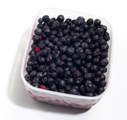 blueberries in the container
