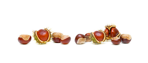 Mature chestnuts isolated on white background.