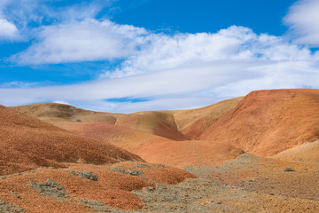 Desert landscape red