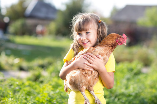 Little child girl is holding the hen on the farm