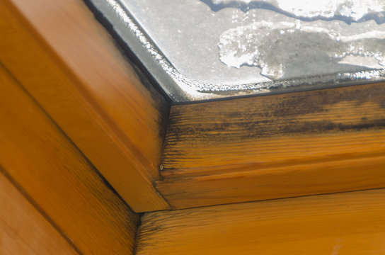 black mold on the window frame, after the leak