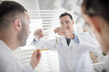 Conducting experiments. Good-looking cheerful young experienced ecologist smiling and doing an experiment while his colleagues watching him