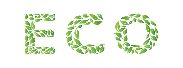 Eco text made from leaves. Environmental concept. Isolated background.