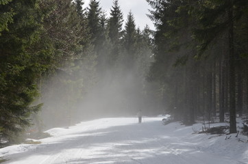 Brouillard sur une piste de ski de fond, Auvergne, 