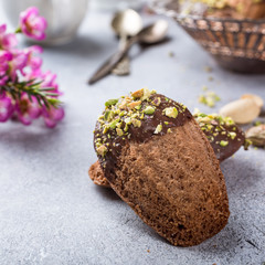 Homemade chocolate cookies Madeleine with chopped pistachio nuts in metal basket. Holidays and party food concept with copy space.