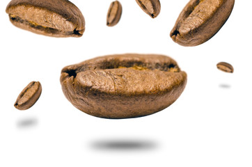 Falling coffee bean isolated