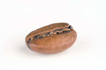 Coffee bean isolated