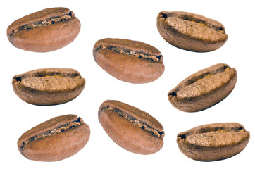 Coffee bean isolated