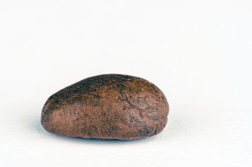 Coffee bean isolated