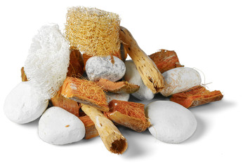 set of dry autumn plants and leaves, dried petals and flowers, simple rustic branches and wheat bunch on white