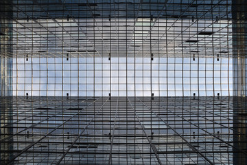 Obraz premium Looking up