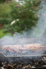 BBQ time, garden party in sunny summer day