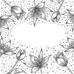 Vector coloring book pages