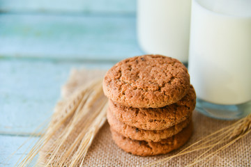 fresh oatmeal cookies and milk on blue wooden background with spikelets of oat