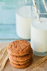 fresh oatmeal cookies and milk on blue wooden background with spikelets of oat