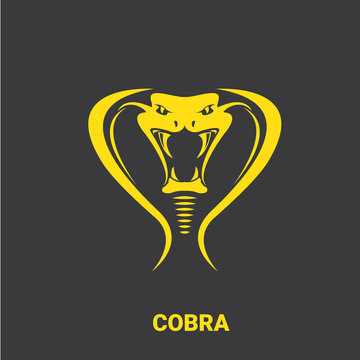 vector dangerous cobra snake head with hood logo design template. danger king cobra icon. viper orange silhouette isolated