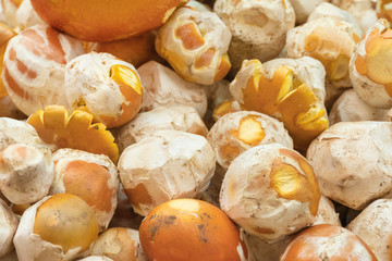 Cleaned mushrooms, background