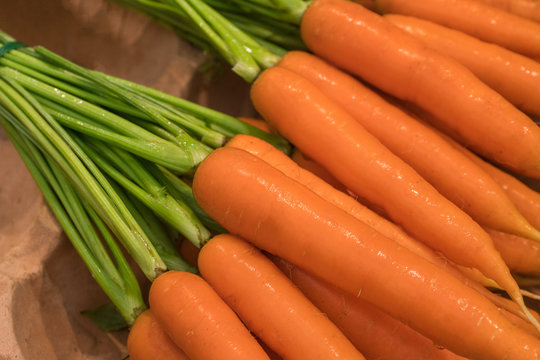 Bunch of fresh clean carrots
