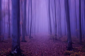 Foto op Plexiglas Pruim Fantasie bos abstracte achtergrond, ultra violet concept - kleur van het jaar 2018