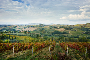 Fototapeta premium Typical Tuscany evening landscape with wineyards and villas. Italy travel postcard.