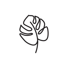 Leaf of monstera © ColorValley