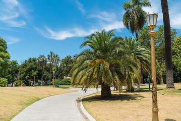 Obraz na płótnie Canvas exotic palm trees in the park of Buenos Aires