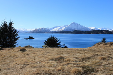Alaskan mountains and coastline 