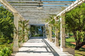 Palermo rose garden