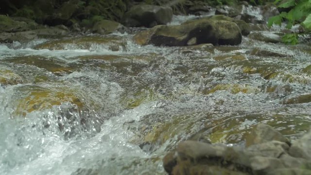 Stream with rocks
