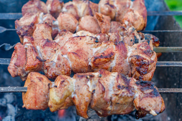 closeup of grilled meat on bbq outdoors