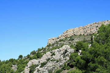 Fototapeta na wymiar escarpment with blue sky and oine forest