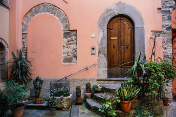 Beautiful plants in pots surround ancient doorway with stone stairs in medieval town, Tuscany, Italy. Picturesque travel postcard.