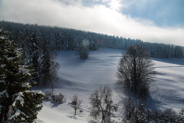 Plateau du Vercors