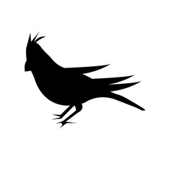 black cardinal bird silhouette with opened wings on white background