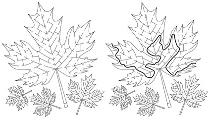 Fototapeta premium Easy maple leaf maze