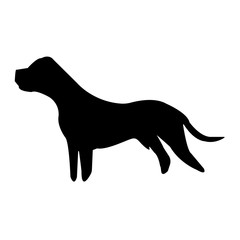black pit bull silhouette on white background