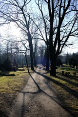 graveyard walk