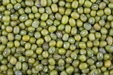 mung bean