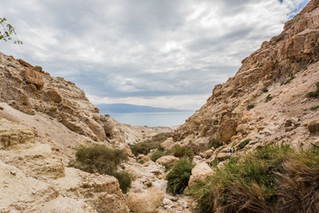 Fototapeta na wymiar Ein Gedi Reserve, Israel
