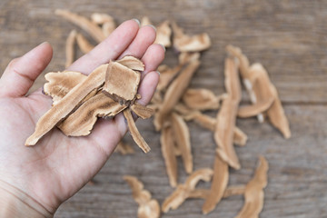 Dried lingzhi mushroom