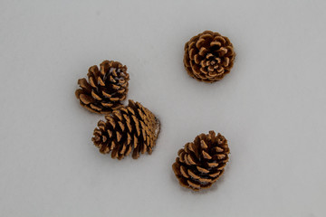 Pinecones in the snow, Winter Photo, Macro Photography, Four Pine Cones in the Snow, Overhead Close up View Photo