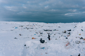 Garbage dump on clean white snow outside the city on the road people spoil the nature of the village Teriberka