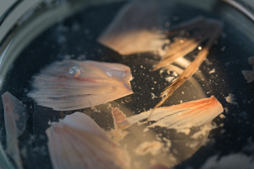 Obraz na płótnie Canvas Fish samples to find parasite samples of education in laboratory.