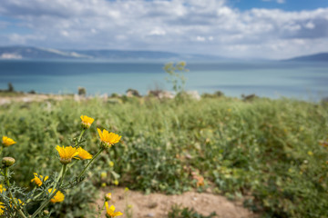 Sea of Galilee, Israel