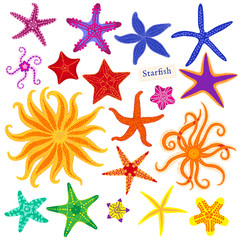 Sea stars set. Multicolored starfish on a white background. Starfishes underwater invertebrate animal. Vector illustration - 196013833