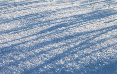 Shadows on the snow.